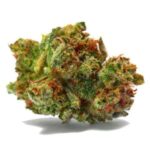 Girl Scout Cookies